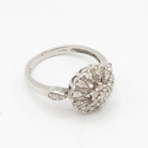 253 - 9ct White gold diamond cluster ring (3.4g) Size N