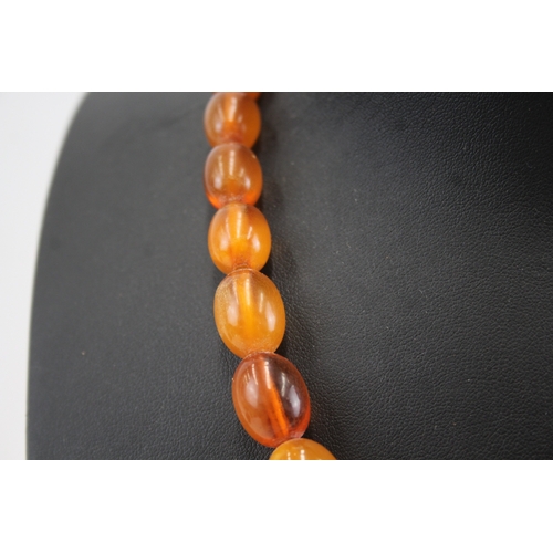 294 - Amber graduated necklace with silver clasp (32g)