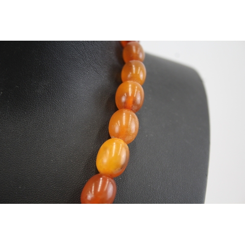 294 - Amber graduated necklace with silver clasp (32g)