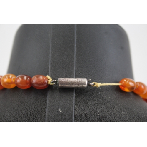 294 - Amber graduated necklace with silver clasp (32g)