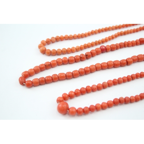 314 - Three antique Coral necklaces (52g)