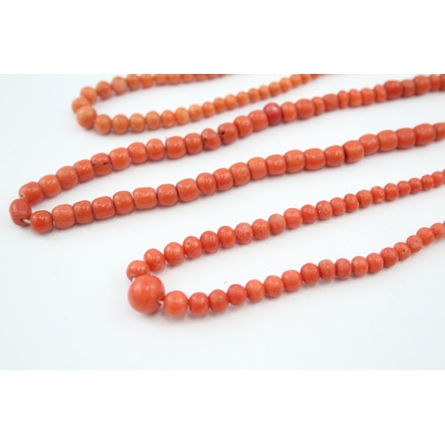 314 - Three antique Coral necklaces (52g)