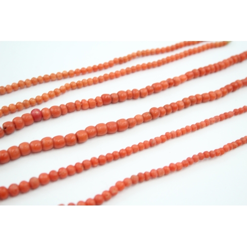 314 - Three antique Coral necklaces (52g)