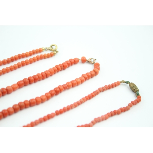 314 - Three antique Coral necklaces (52g)