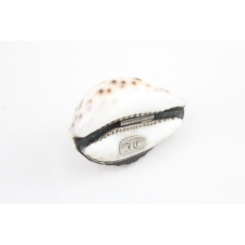 459 - Antique Cowrie Shell Snuff Box w/ White Metal Mounts & Cartouche