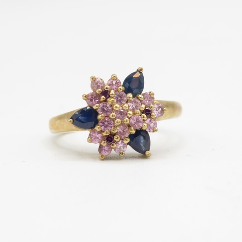 125 - 9ct gold pink sapphire, sapphire & red gemstone floral cluster ring (3.3g) Size  N 1/2