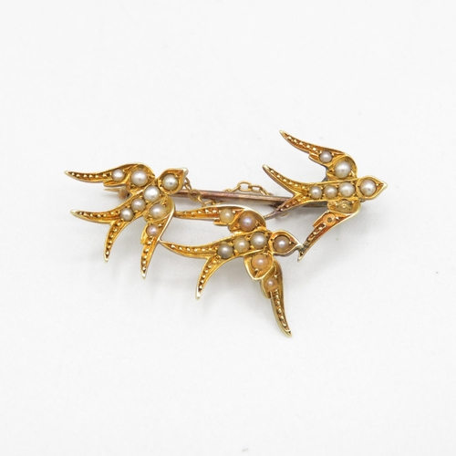 182 - 15ct gold Victorian seed pearl bird brooch with a 9ct gold pin (3.8g)