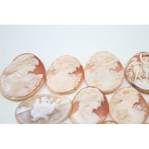 279 - A collection of carved shell panels including Venus on dolphin