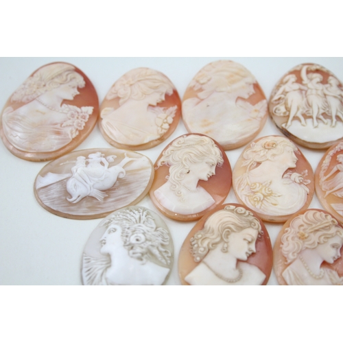 279 - A collection of carved shell panels including Venus on dolphin