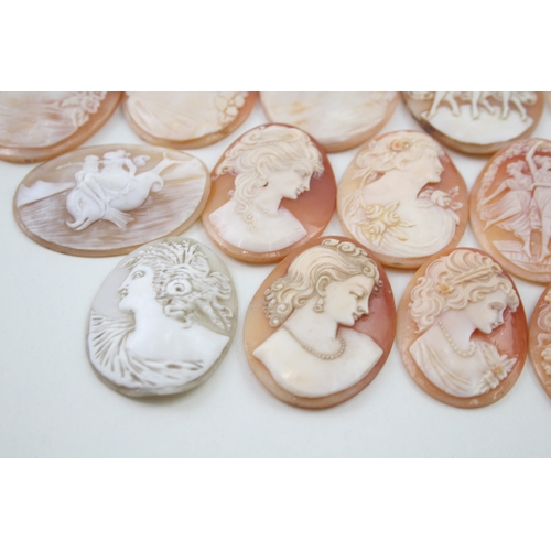 279 - A collection of carved shell panels including Venus on dolphin