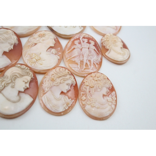 279 - A collection of carved shell panels including Venus on dolphin