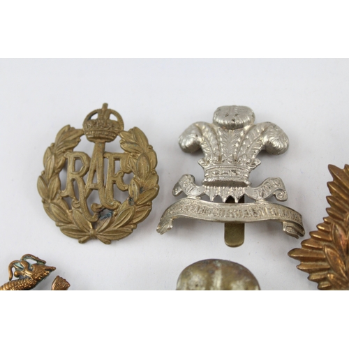 396 - Military Cap Badges Inc Royal Marines, ASC, Fusiliers, Etc x 10