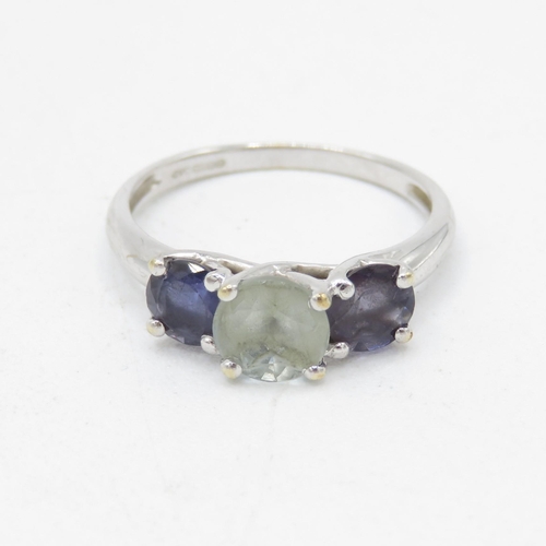 17 - 9ct white gold aquamarine and iolite trilogy dress ring (1.9g) Size  M