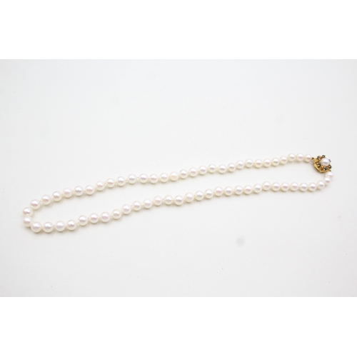 184 - 9ct gold cultured pearl & sapphire clasp cultured pearl single strand necklace (19.3g)