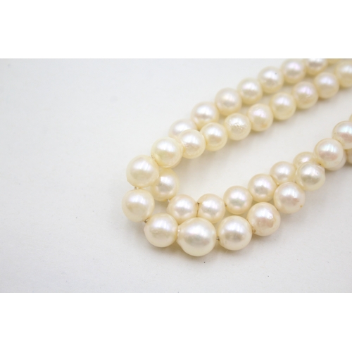 7 - 9ct gold split pearl & turquoise clasp cultured pearl double strand necklace (31.9g)