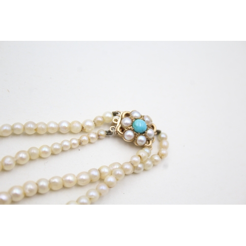 7 - 9ct gold split pearl & turquoise clasp cultured pearl double strand necklace (31.9g)