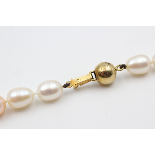 74 - 9ct gold clasp vari-hue cultured pearl single strand necklace (34.8g)