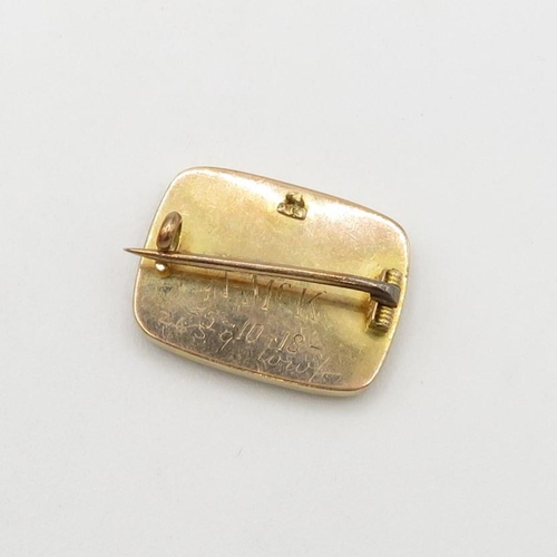 35 - 9ct gold enamelled brooch (4.6g)