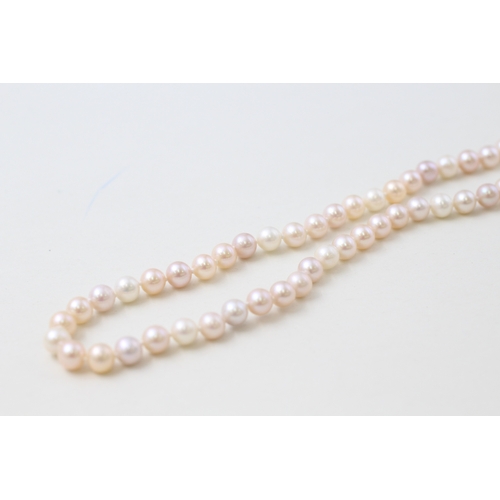 49 - 9ct gold clasped blush pink cultured pearl necklace (25.6g)