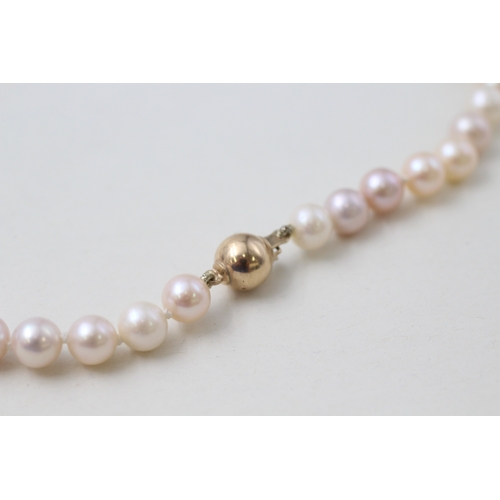 49 - 9ct gold clasped blush pink cultured pearl necklace (25.6g)