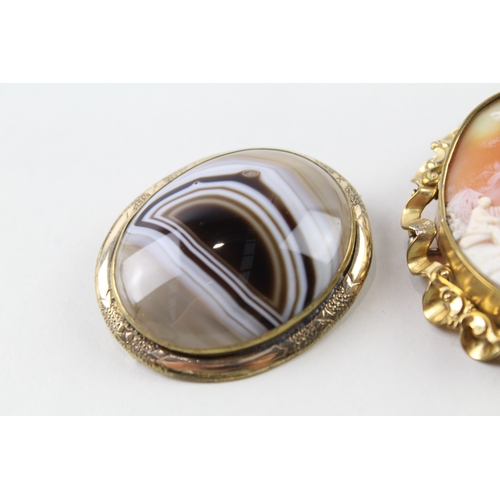 332 - Collection of Antique Brooches inc. Agate, Shell Cameo x 3 53g