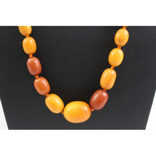 290 - Graduated Amber Beaded Necklace, Individually Knotted 38g