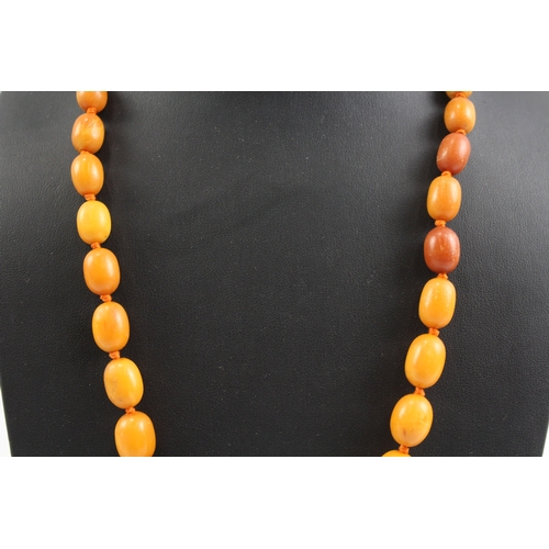 290 - Graduated Amber Beaded Necklace, Individually Knotted 38g