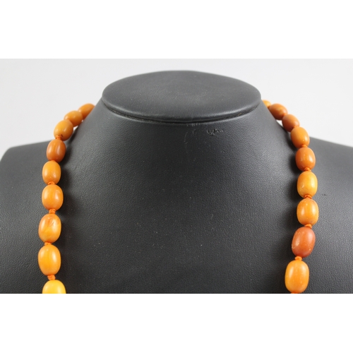 290 - Graduated Amber Beaded Necklace, Individually Knotted 38g