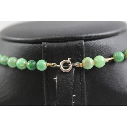 327 - Sterling Silver Clasp Graduated Jade Bead Necklace 40g