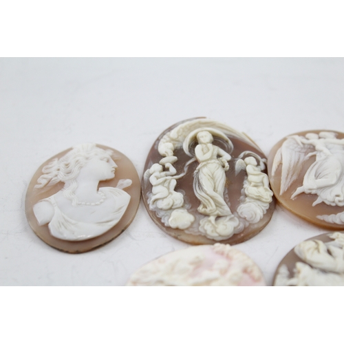 264 - Collection of Carved Shell Cameo Panels inc. Neoclassical x 6 43g