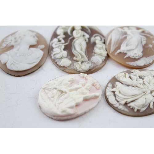 264 - Collection of Carved Shell Cameo Panels inc. Neoclassical x 6 43g