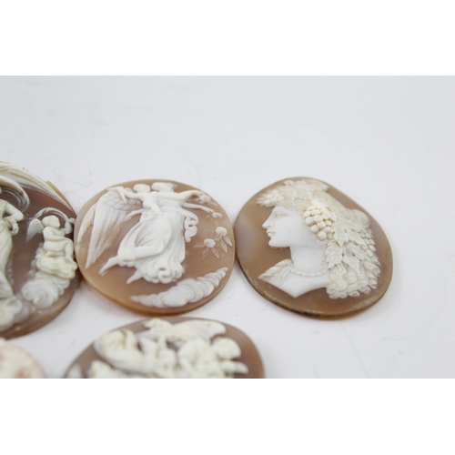 264 - Collection of Carved Shell Cameo Panels inc. Neoclassical x 6 43g