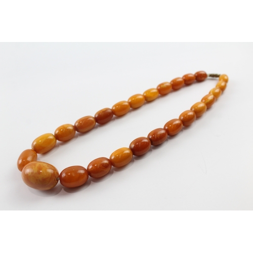 316 - Graduated Amber Necklace w/ Screw Clasp 38g