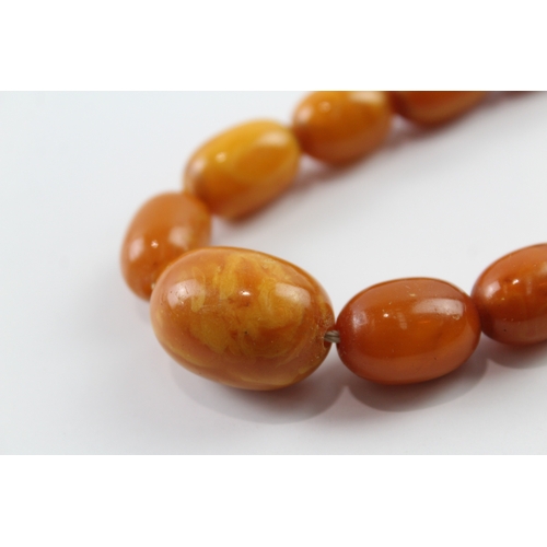 316 - Graduated Amber Necklace w/ Screw Clasp 38g