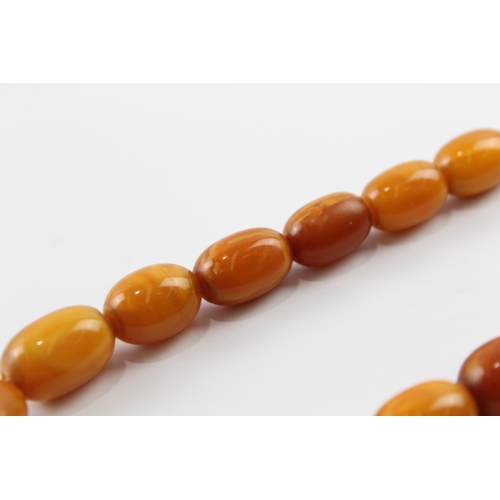 316 - Graduated Amber Necklace w/ Screw Clasp 38g