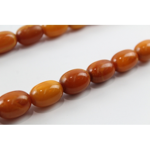 316 - Graduated Amber Necklace w/ Screw Clasp 38g