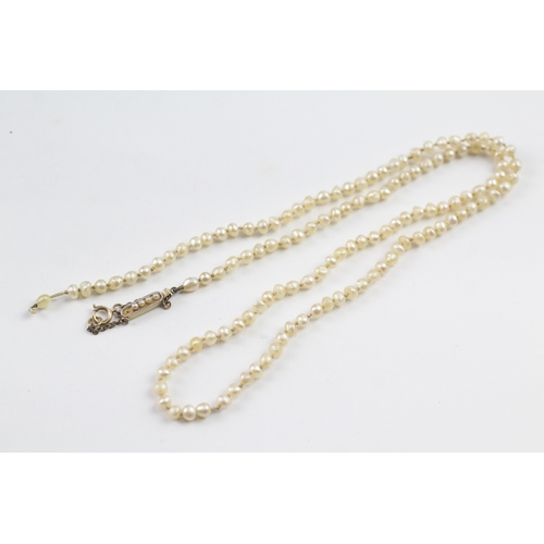 192 - 15ct gold and platinum clasped pearl necklace, as found (7.9g)