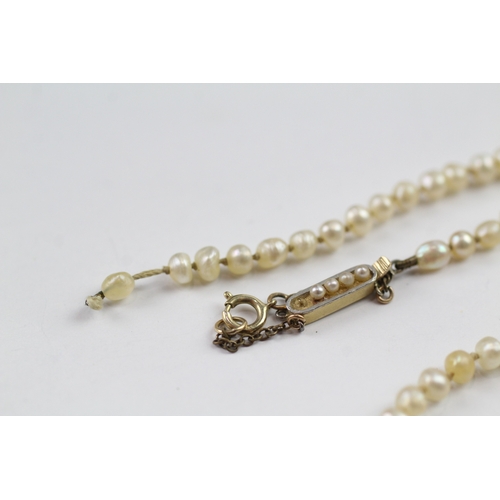 192 - 15ct gold and platinum clasped pearl necklace, as found (7.9g)