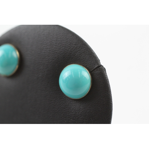 195 - 9ct gold turquoise stud earrings (3.3g)