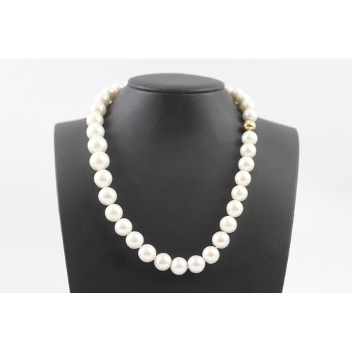 263 - 9ct gold clasped pearl necklace (109.9g)