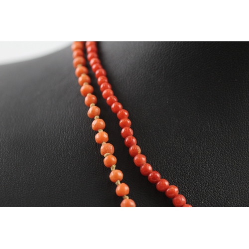 337 - Two gold clasped antique coral bead necklaces (17g)