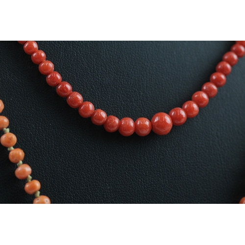 337 - Two gold clasped antique coral bead necklaces (17g)