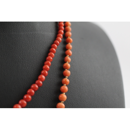 337 - Two gold clasped antique coral bead necklaces (17g)