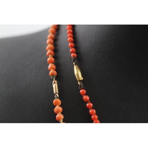 337 - Two gold clasped antique coral bead necklaces (17g)