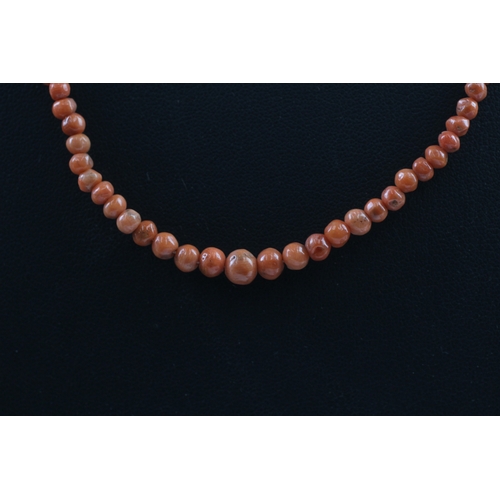 345 - 9ct gold clasped antique coral bead necklace (7.9g)