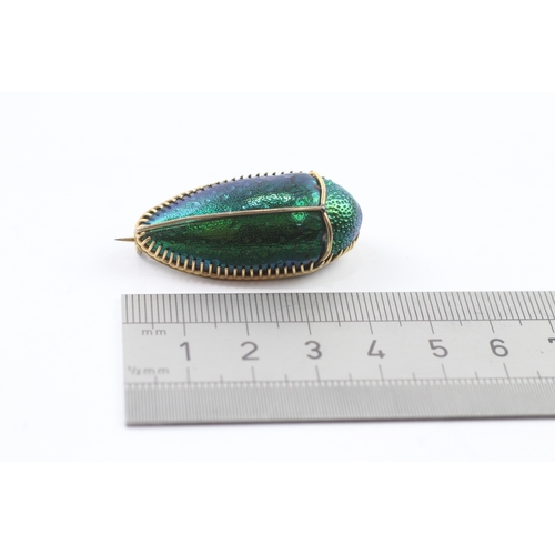 403 - 9ct gold mounted rainbow beetle brooch (3.7g)