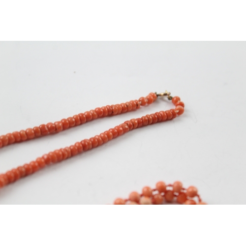 446 - Two antique coral bead necklaces, one with a 9ct gold clasp (27.2g)