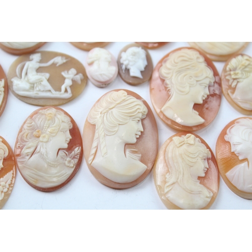 536 - A collection of loose carved shell cameo panels for repurposing (70g)