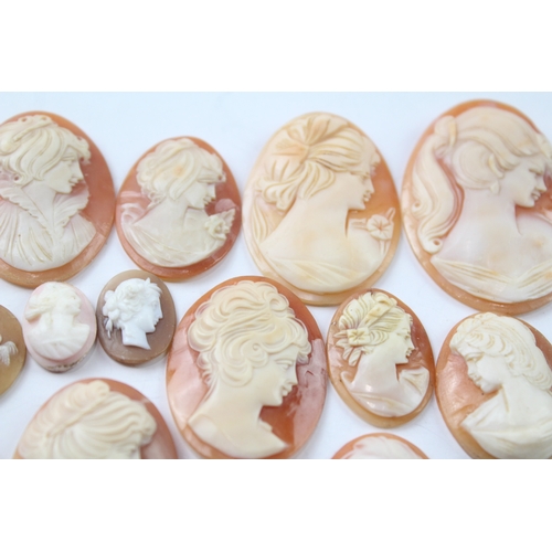 536 - A collection of loose carved shell cameo panels for repurposing (70g)