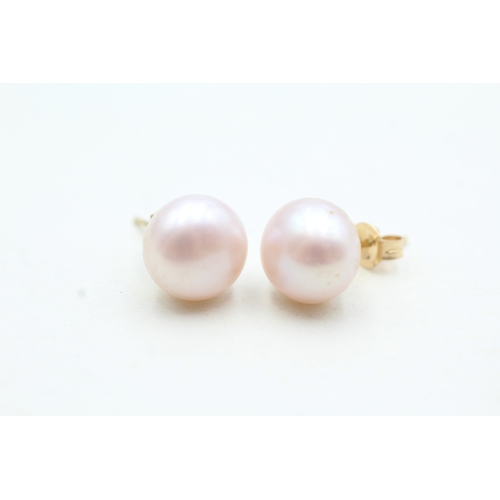 143 - 14ct gold cultured pearl stud earrings (2.2g)